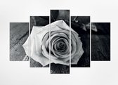 Rose in zwart en wit 150x100 cm, Cascade van vijf verticale panelen, Canvas 100% katoen uitgerekt op het frame van hoge kwaliteit, muurhanger geïnstalleerd, Wanddecoratie.