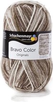Schachenmayr Bravo Color 50 Gram - 2111