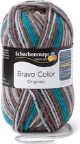 Schachenmayr Bravo Color 50 Gram - 2109