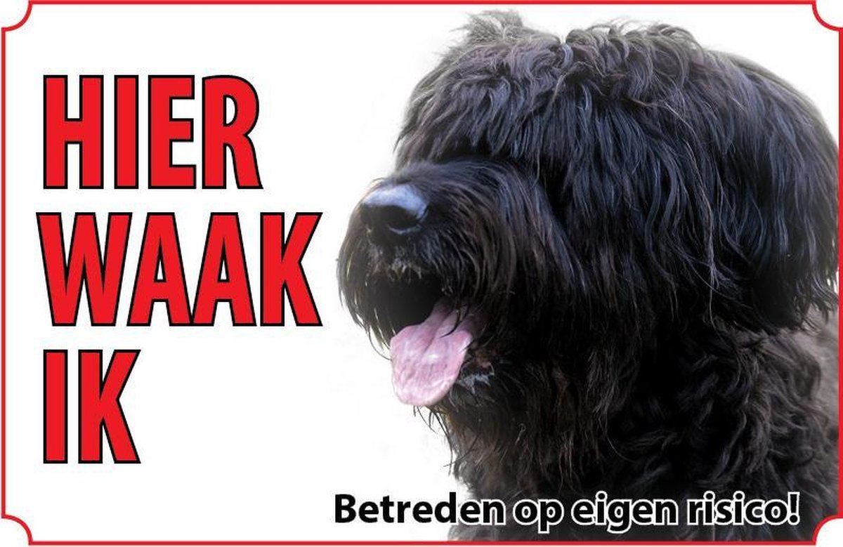 Bord Briard