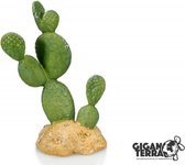 Giganterra Cactus 10,5x7x16cm