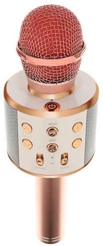 Karaoke - Microfoon - Met Luidspreker - Roze - Speelgoed