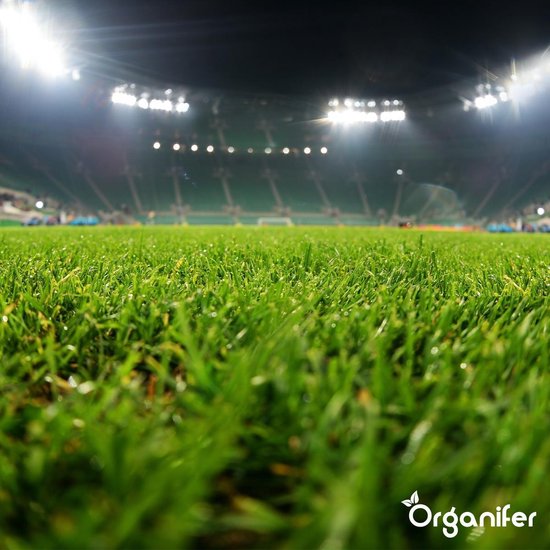 Close-up van een nat, groen voetbalveld met schijnwerpers in een stadion.