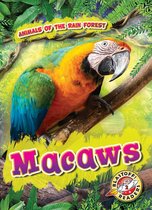 Animals of the Rain Forest - Macaws