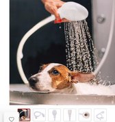 Douchekop Multi-functionele Wassen - Haar wassen - Baby wassen  - Kat - hond- huisdier wassen