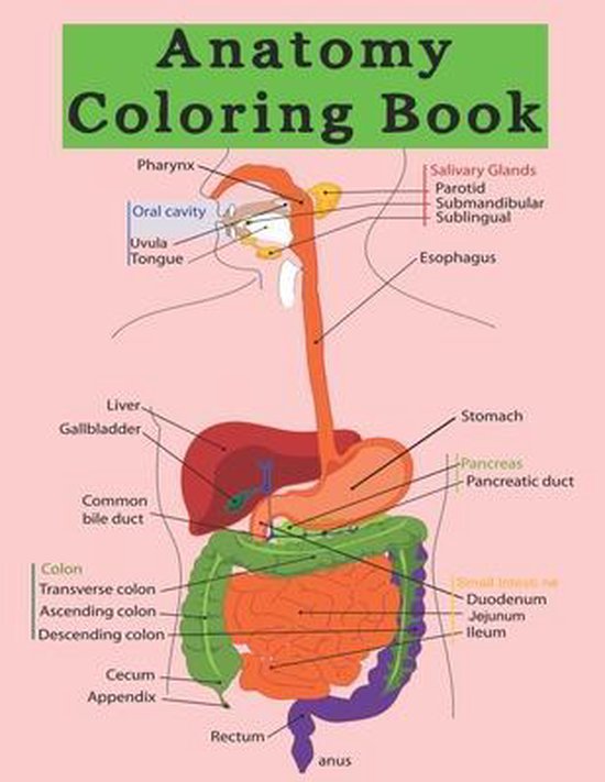 Anatomy Coloring Book, Digital Press 9798644567904 Boeken