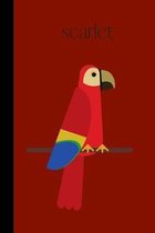 Scarlet: small lined Macaw Notebook / Travel Journal to write in (6'' x 9'') 120 pages
