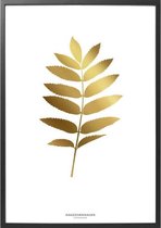 Hagedornhage Poster FG1 Folium Gold - 30x40 cm