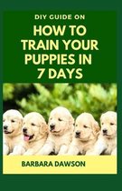 DIY Guide on How To Train Your Puppies in 7 Days