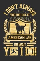 I Don't Always Stop and Look At American Labs OH Wait, Yes I Do!: Gifts for Dog Owners 100 page Daily 6 x 9 journal to jot down your ideas and notes