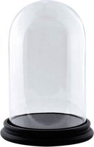 Glazen stolp met zwart houten voet D 22 cm x H 30 cm