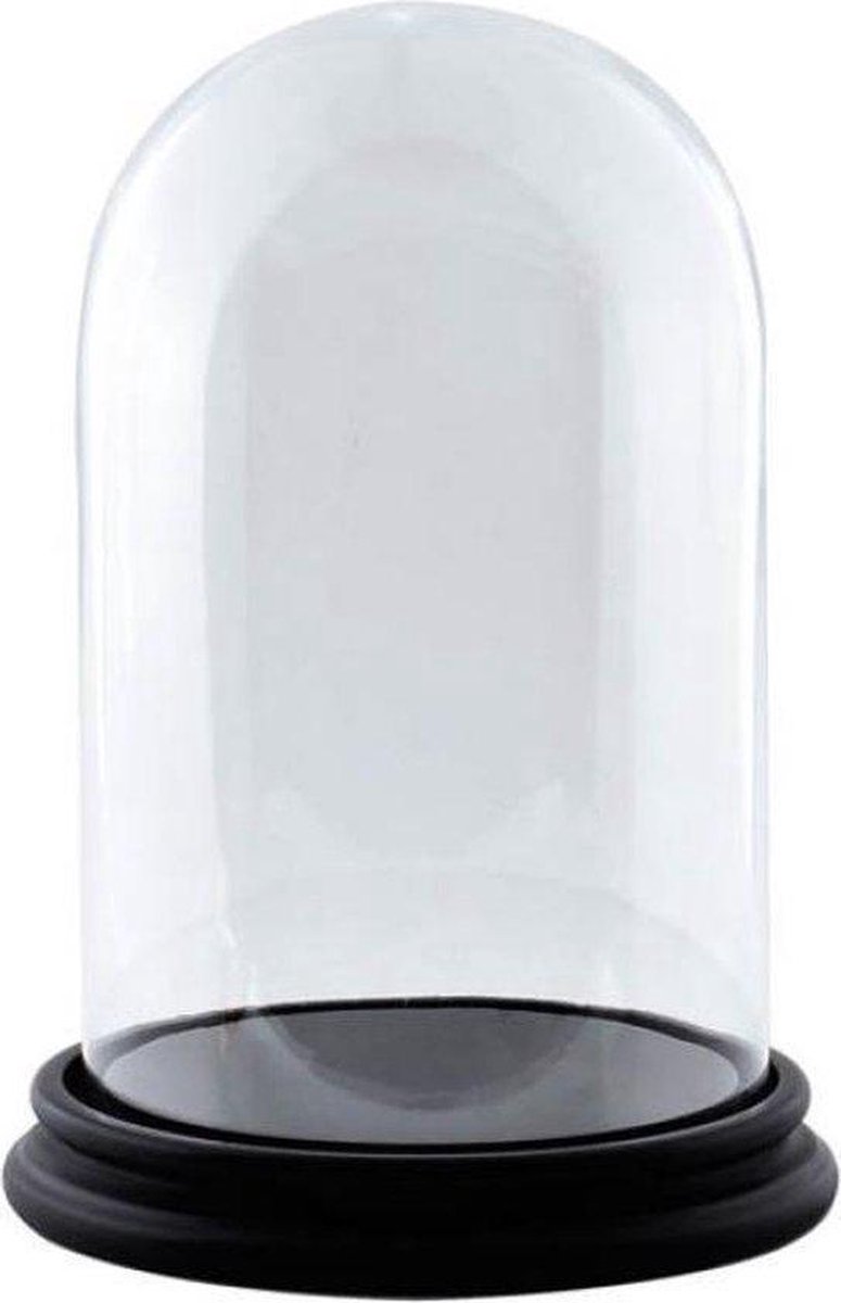 Glazen stolp met zwart houten D 22 x H 30 cm | bol.com