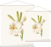 Madonnalelie (White Lily) - Foto op Textielposter - 90 x 120 cm