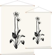 Parnassia zwart-wit (Grass of Parnassus) - Foto op Textielposter - 120 x 180 cm