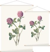 Rode Klaver (Red Meadow Clover) - Foto op Textielposter - 60 x 90 cm