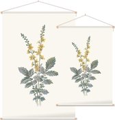 Agrimonie (Agrimony) - Foto op Textielposter - 120 x 180 cm