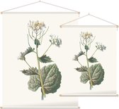 Look-zonder-look (Garlic Mustard) - Foto op Textielposter - 120 x 160 cm