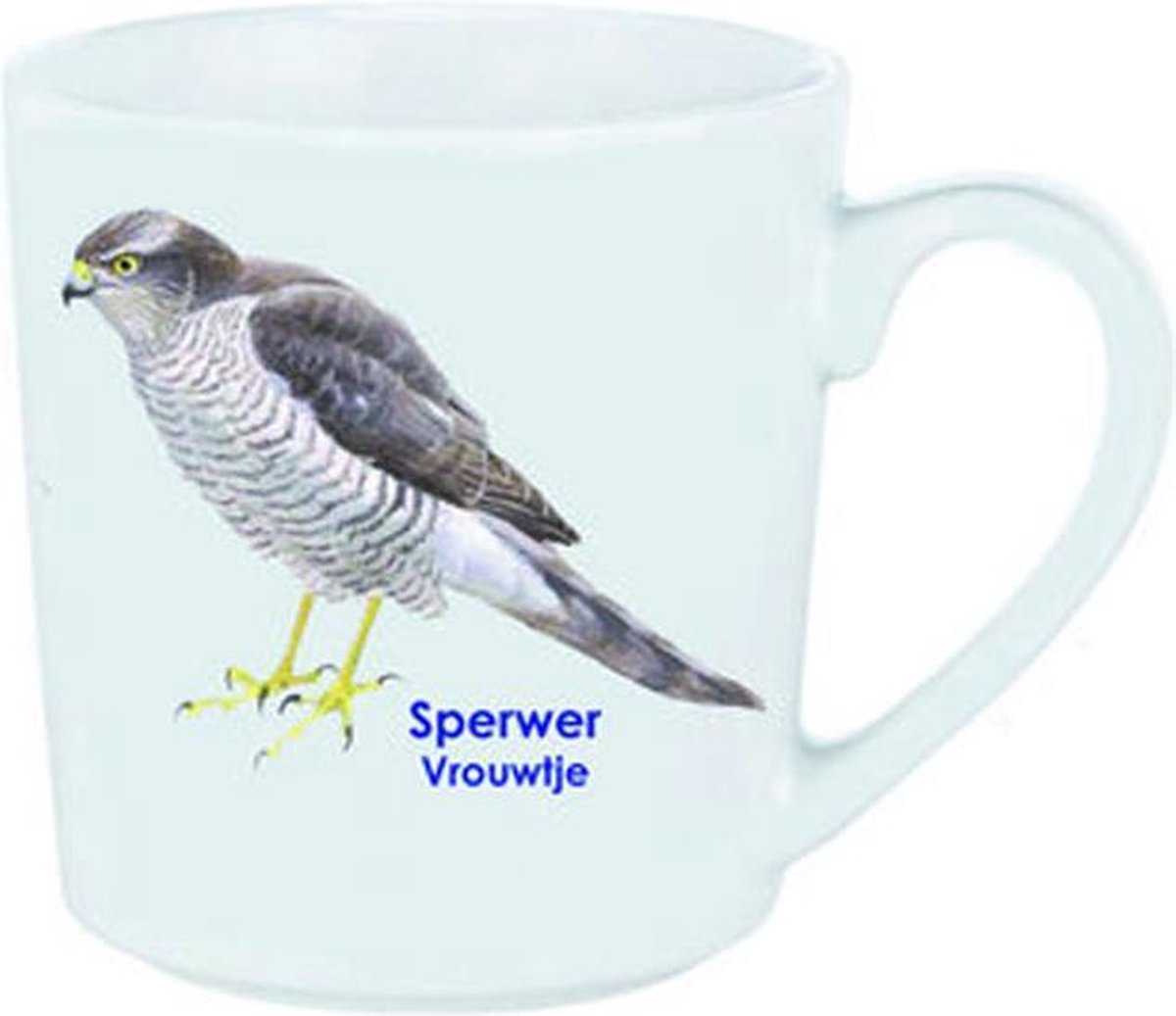 Sperwer vrouwtje