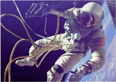 Astronaut Gemini 4 first in outer space (ruimtevaart) - Foto op Forex - 160 x 120 cm