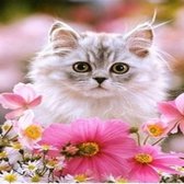 Diamond Painting  kat met bloem - Volwassenen - Volledig bedekt - Vierkante steentjes - 40x50 cm - Hobbypakket