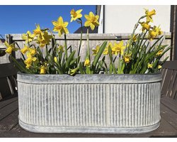 Gegalvaniseerde metalen plantenbak 49cm | Vintage antieke stijl ronde en ovale pot voor tuin of binnen