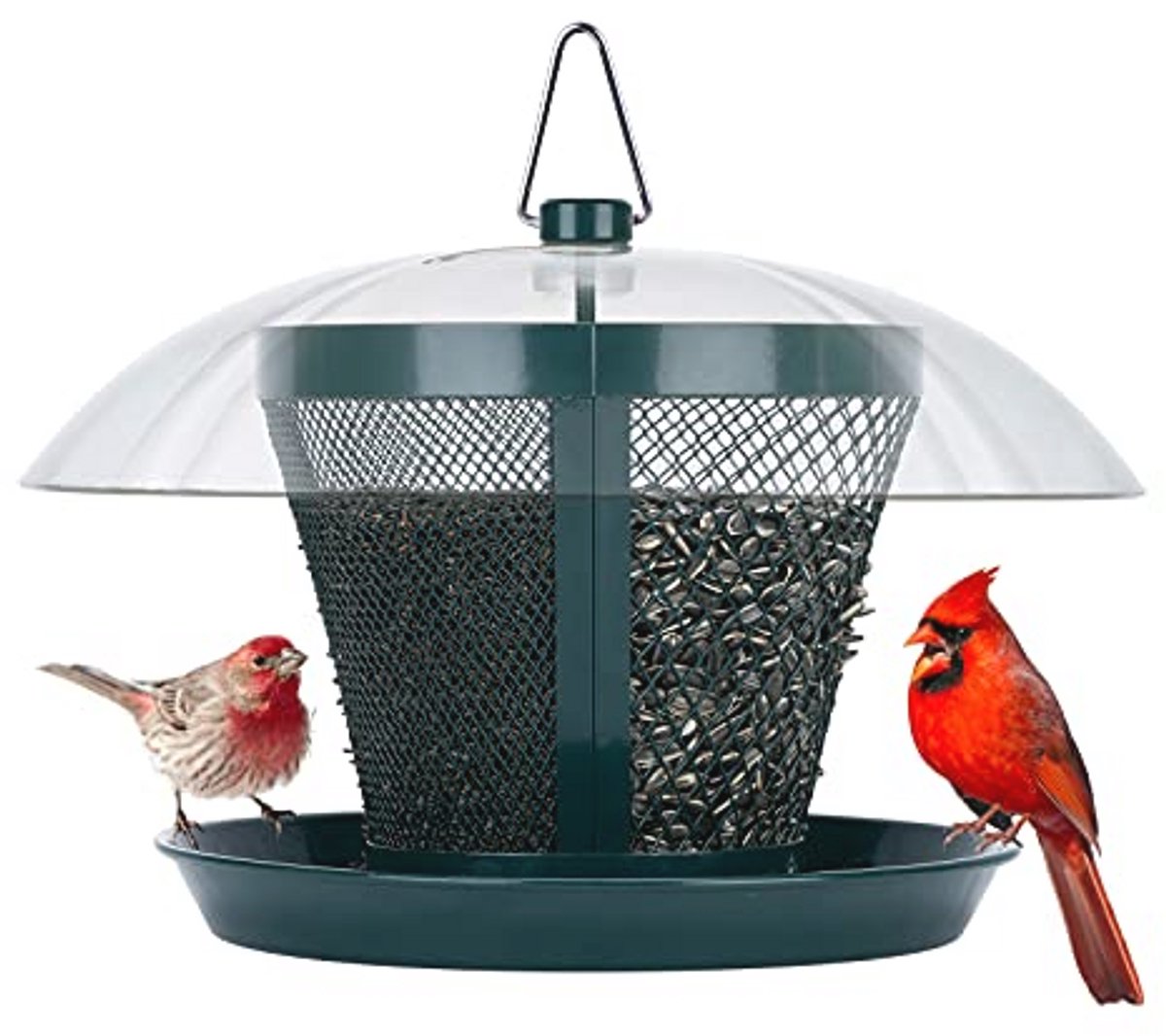 Vogelvoeder voor buiten - Anti-eekhoorn Voederbak voor Wilde Vogels met Weerbestendige Koepel en Dubbele Voeders, 2,5 lb Zaadcapaciteit