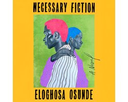 Necessary Fiction