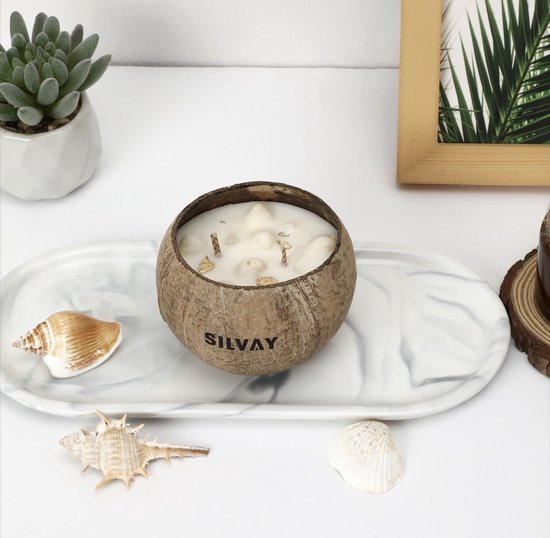 Handgemaakte Kokosnoot Kaars – Vanille Forest Geur – Met Schelpen – Duurzame Natuurkaars – Dubbele Lont