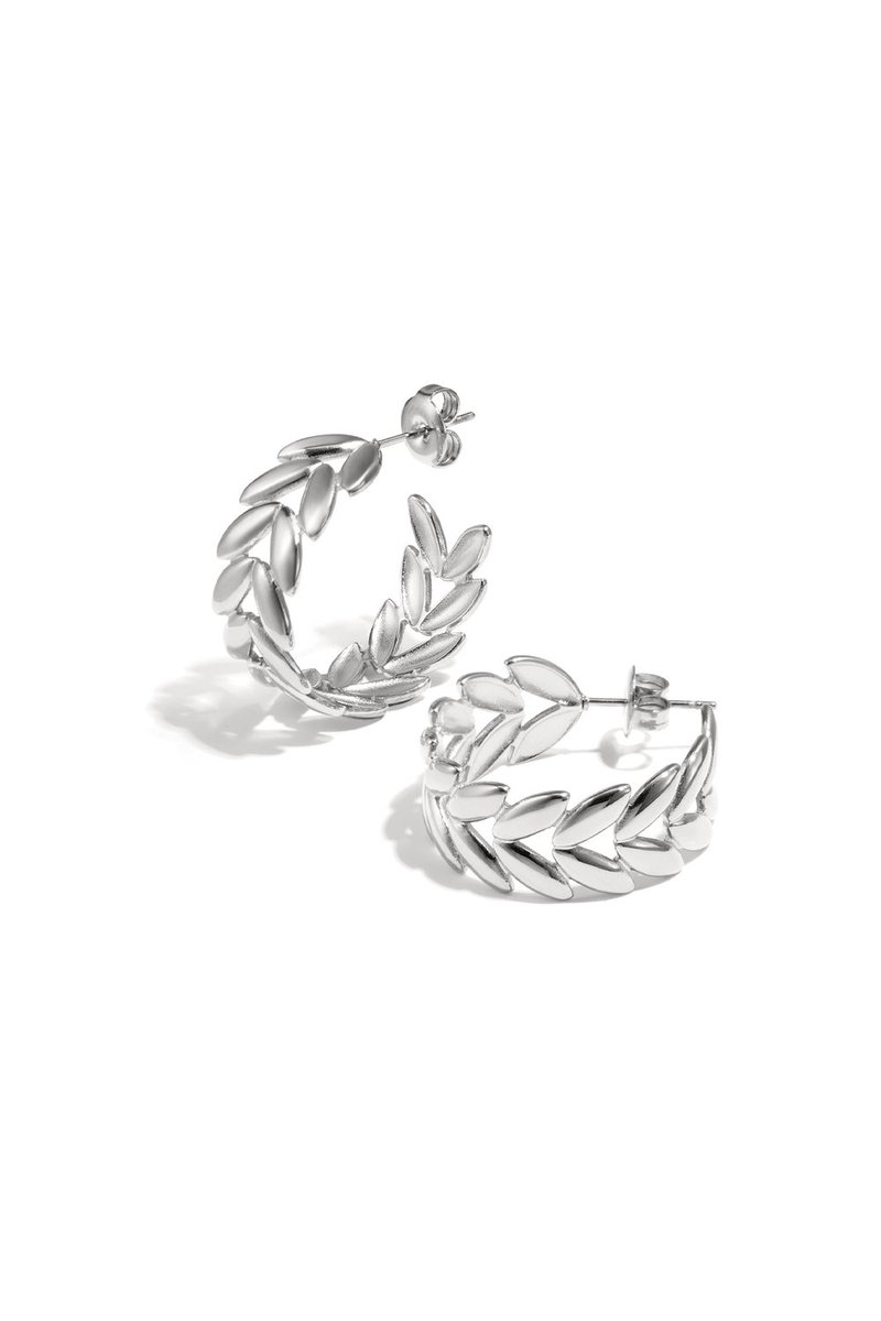 Oorringen cutie zilver