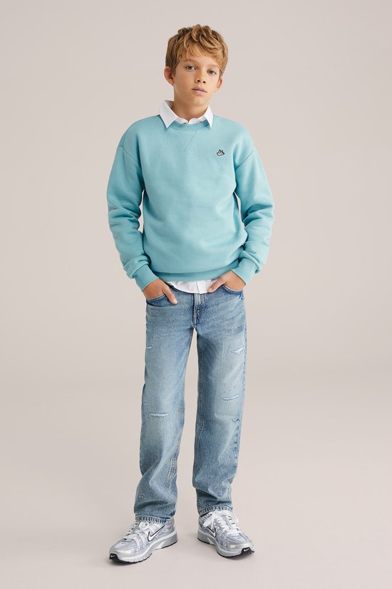 WE Fashion Jongens regular fit sweater