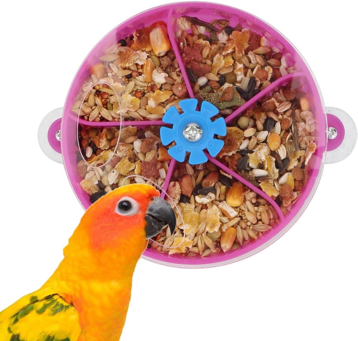 CSGoods - Foerageer speelgoed voor vogelpapegaai met creatieve zaadvoedselbal