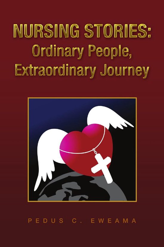 Nursing Stories: Ordinary People, Extraordinary Journey - cover
