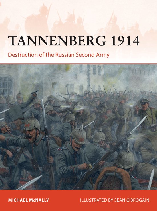 Boek 'Tannenberg 1914' met een schilderij van Duitse soldaten in gevecht.