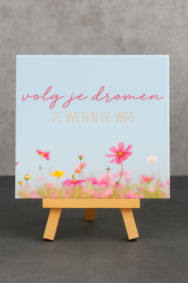 Plot-Twister - Tegeltje met tekst - Groot 15x15 cm - Volg je dromen, ze weten de weg