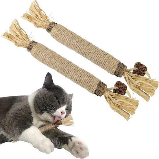 Catnip : Wat is het en waarom zijn katten er zo dol op