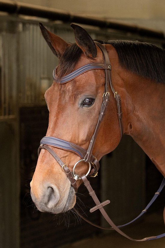 Harry's Horse 31400006?70 Cm Sangle Housse De Néoprène Micro