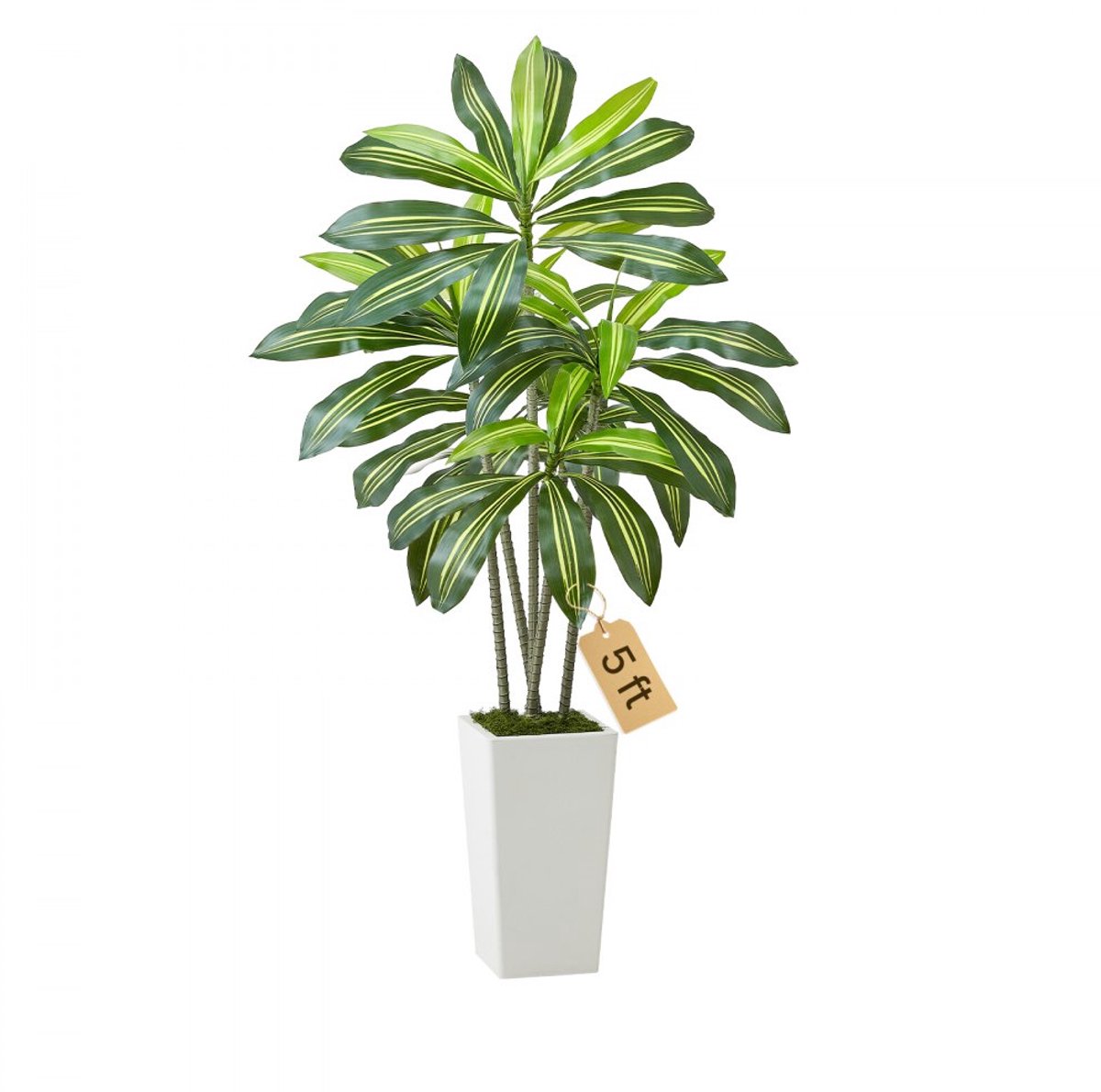Kunstplant Dracaena Drakenboom - Kunstboom in Pot - 150 cm Hoog - Met Hoge Witte Plantenbak - Realistisch - Onderhoudsvrij - Wit