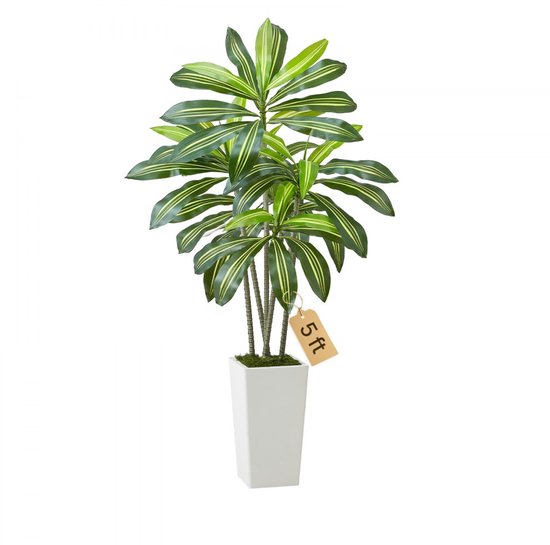 Dracaena Fragrans Compacta - kunstplant eenvoudig en snel online bestellen