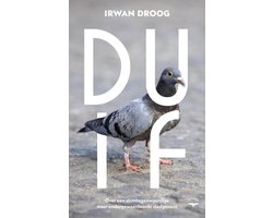 Duif