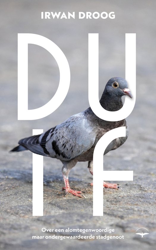 Duif - cover