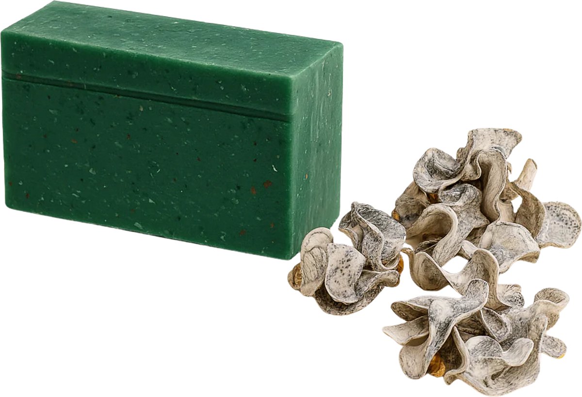 RNCosmetics – Aloe Vera & Lime Zeep – Handgemaakte Natuurlijke Zeep voor Alle Huidtypes – Verfrissend, Hydraterend & Kalmerend – Revitaliserende Dagelijkse Skincare – Zachte, Natuurlijke Reiniging met Aloe Vera & Lime Olie