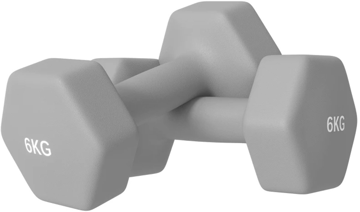 Dumbbells 2 x 6 kg - Halter - Hexagonaal Design - Vloervriendelijk -Antislip - Gewichten Set - Halterset - Dumbbell Set - Krachttraining - Fitness - Gym - Geschikt voor Thuis en Sportschool - Grijs