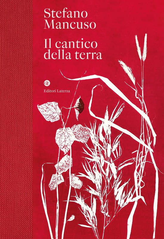 Il cantico della terra - cover
