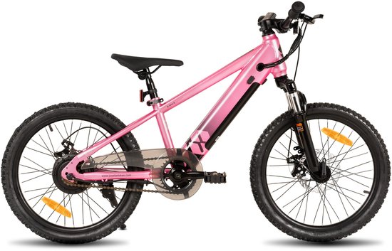JOYSTAR 20 Inch Elektrische Kinder Mountainbike - 250W E-Bike voor Kinderen (7+ Jaar) - 25 km Actieradius - Met Verwijderbare Accu & Schijfremmen - Spaakwiel - Roze — afbeelding 2