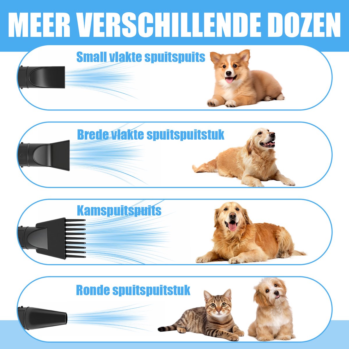 Blauwe Pet Föhn 2000W Stil met Instelbare Windsnelheid - afbeelding 3