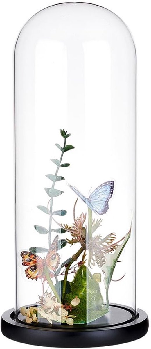 11.7x30cm Glazen Koepel met Houten Basis - Transparant Voor DIY Bloemen