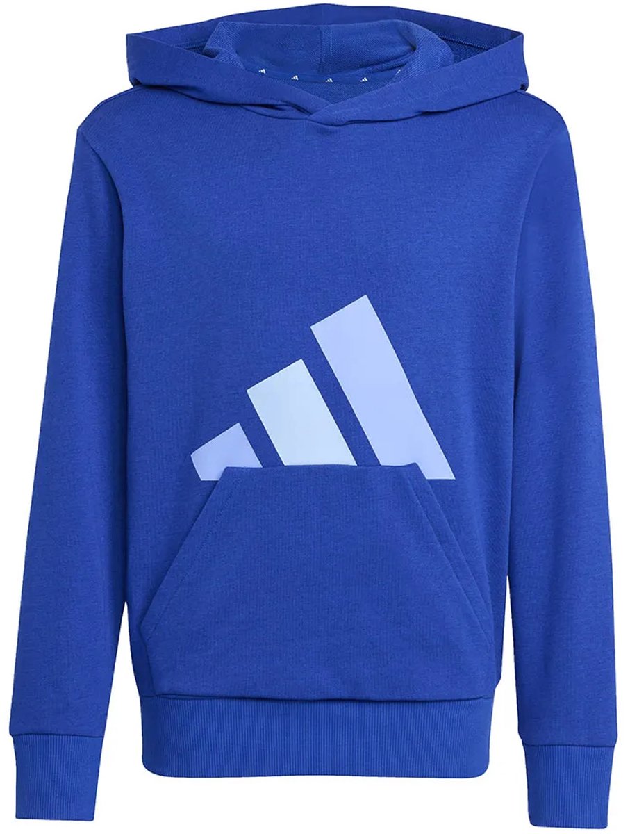 Adidas Essentials Hoodie 13-14 Years Kinderen Blauw