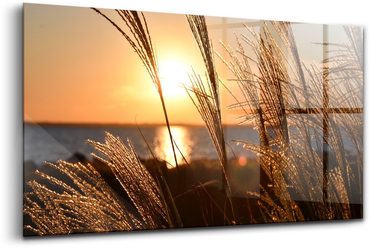 Wallfluent Glasschilderij - Tarwe in het gouden uur Foto Op Glas - 120x60 cm - Geel Horizontale muurfoto - Staten Schilderij Op Glas - Glazen Schilderij - Schilderij Glas