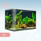 AquaKonings – Aquarium – Aquarium met afgeronde hoeken - Aquariumkit 35x20x23 16L