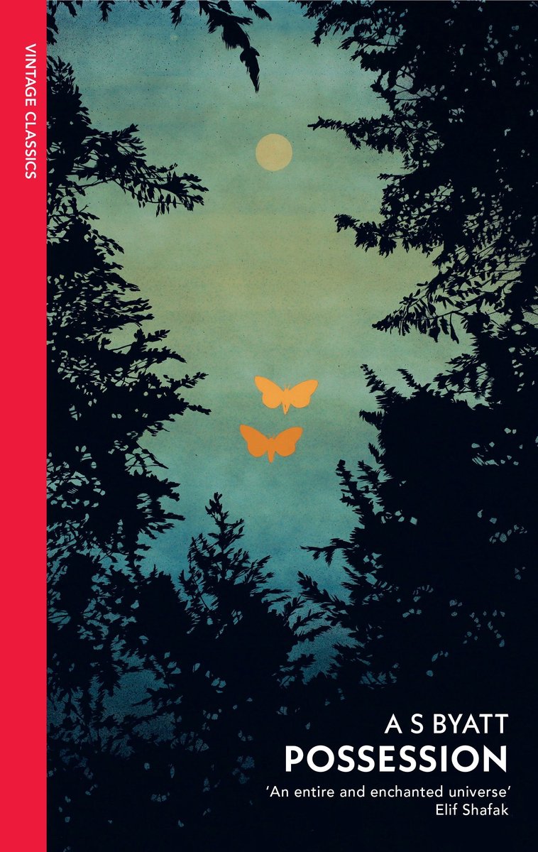 Omslag van Possession